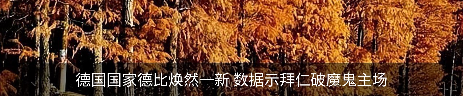 行业资讯