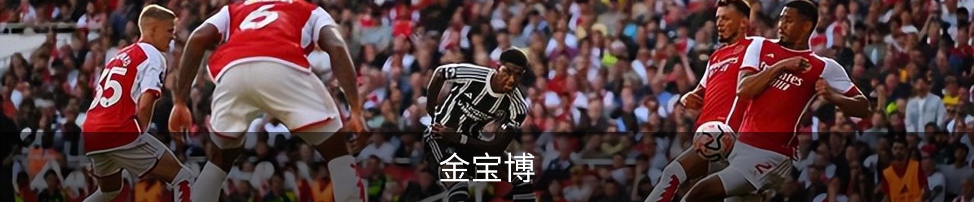 金宝博(中国)官方网站 - jingbaobo SPORTS